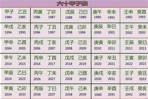 2023年是什么命|2023年出生五行属什么的 是什么命